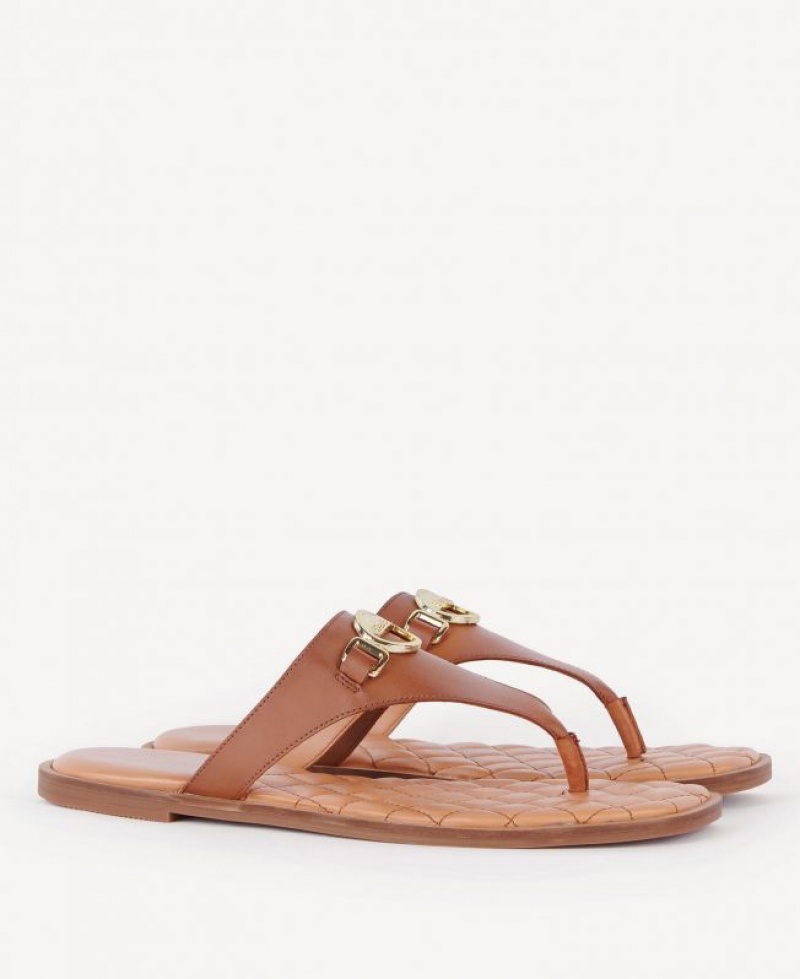 Brown Women Barbour Baymouth Sandals | US-4862GWLMR