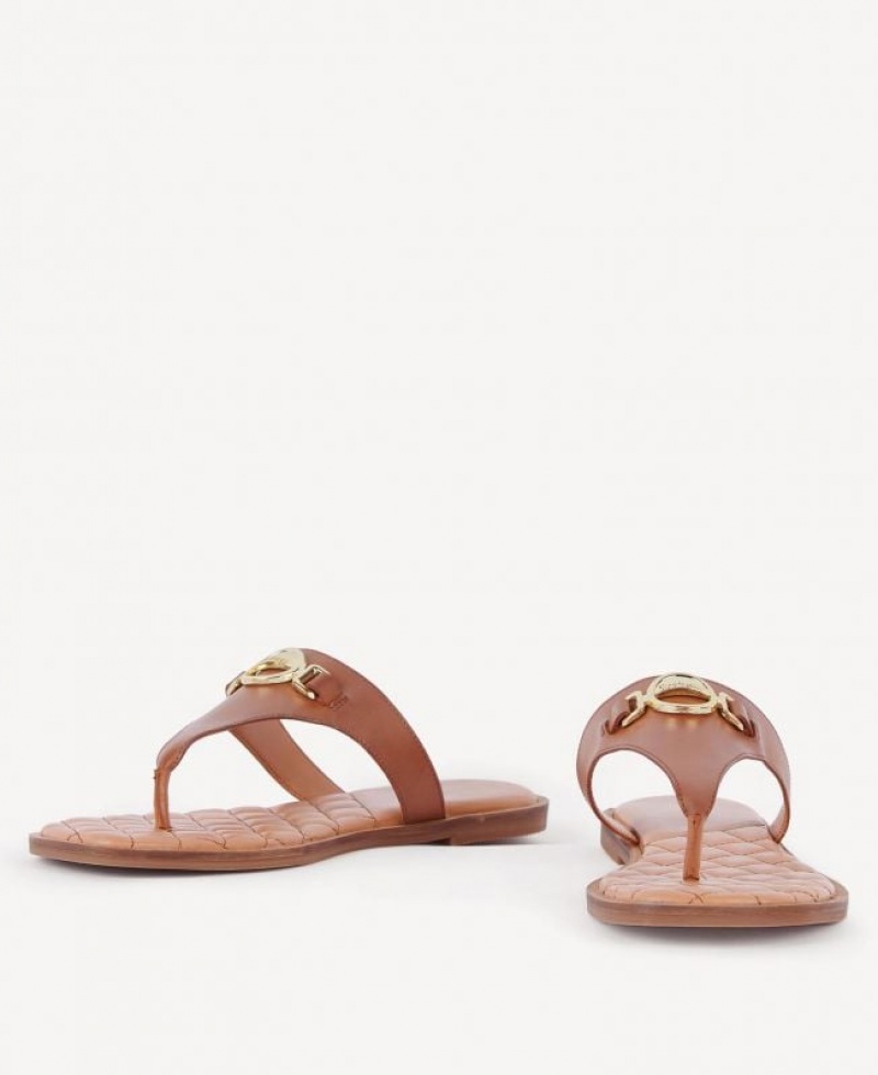 Brown Women Barbour Baymouth Sandals | US-4862GWLMR