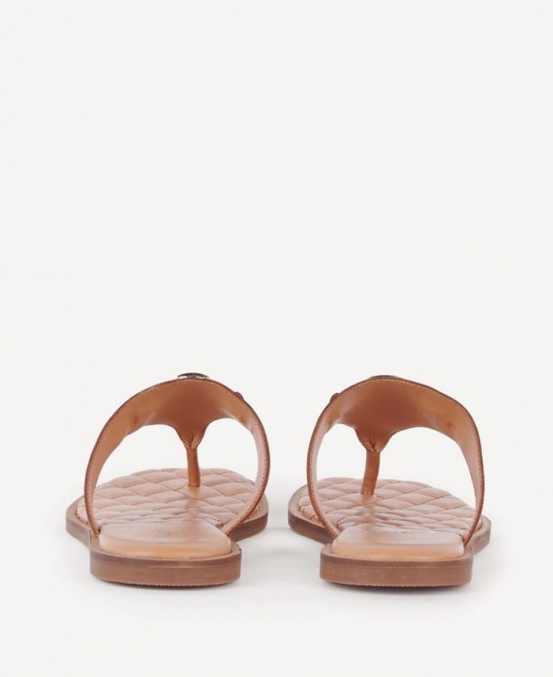 Brown Women Barbour Baymouth Sandals | US-4862GWLMR