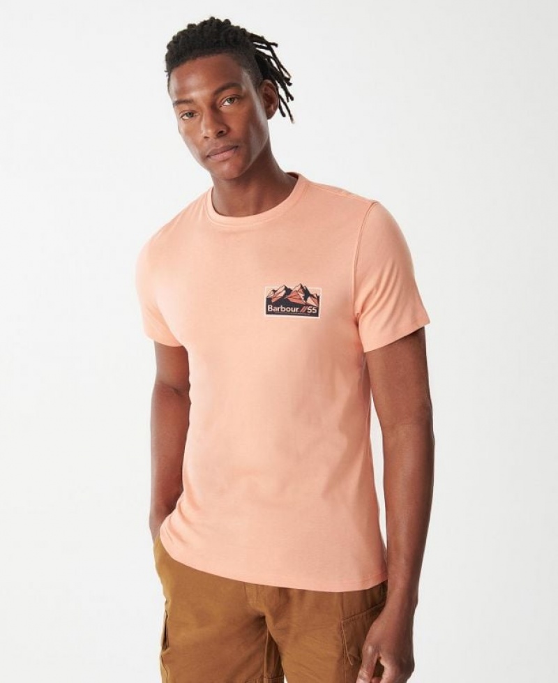 Coral Men Barbour Glasson T-Shirts | US-8102RJVXI