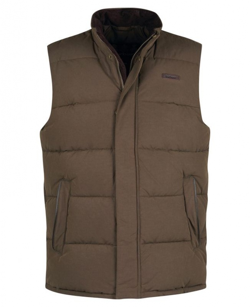 Dark Brown Men Barbour Fontwell Vest | US-0528QHLFV