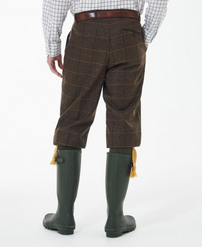 Dark Brown Men Barbour Wellesley Wool Breeks Pants | US-1376VGBOY